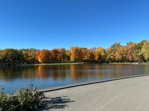 Autumn lake reflection