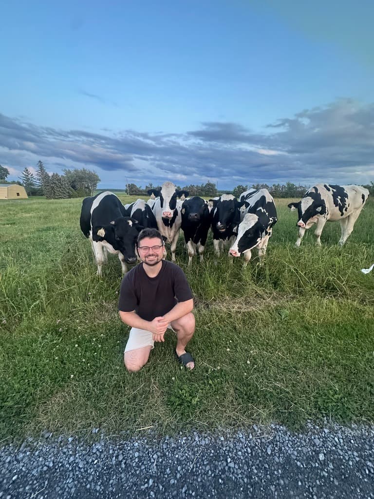Meeting cows