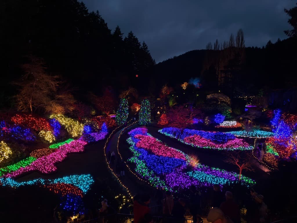 Holiday garden lights
