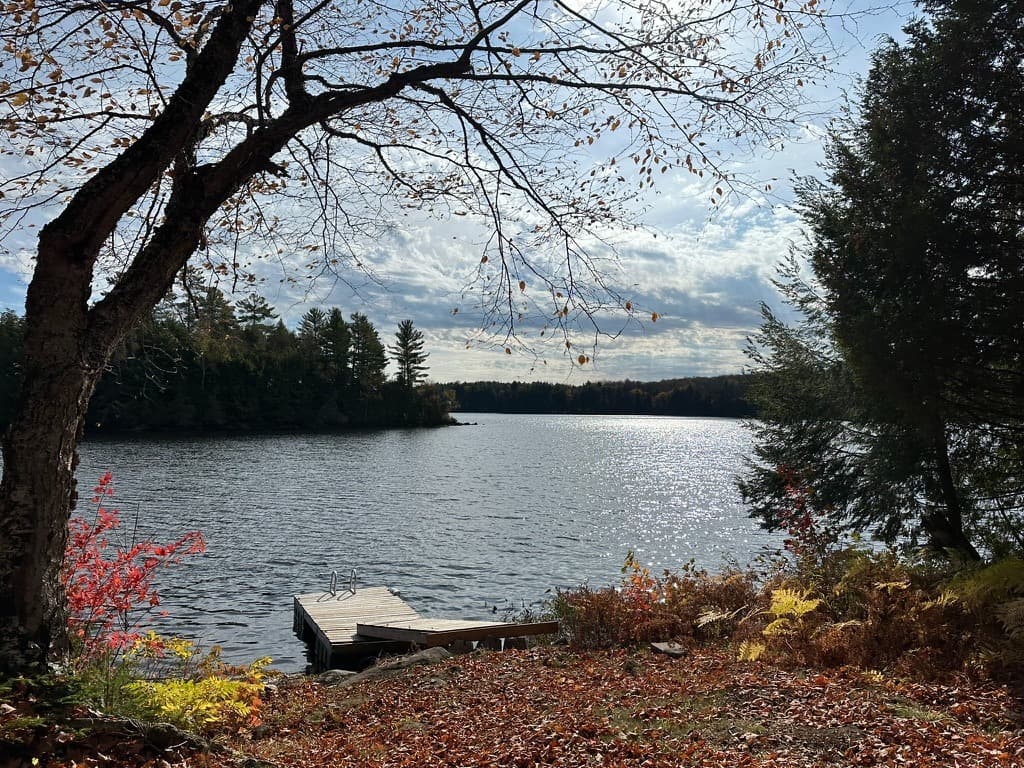 Lakeside dock in autumn
