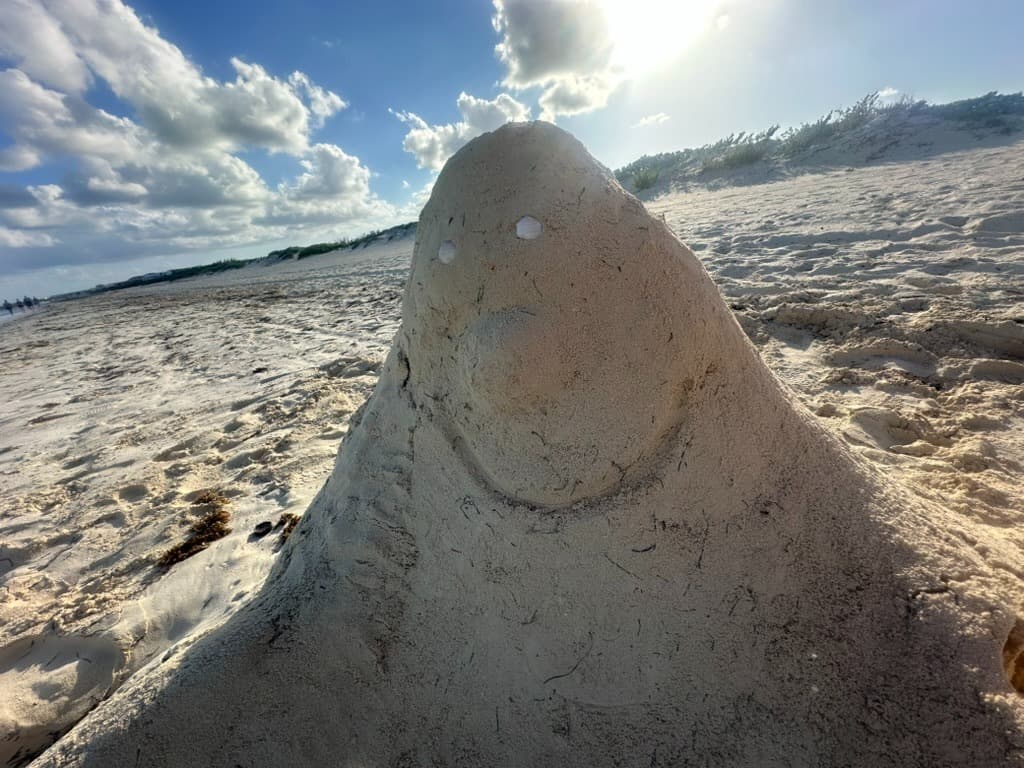 Sand sculpture